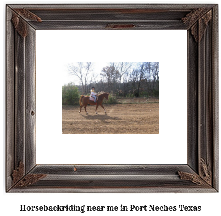 horseback riding near me in Port Neches, Texas